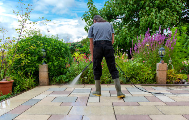 Best Brick and Stone Cleaning in Cheyenne, WY